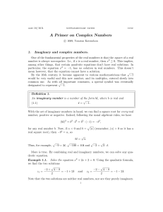 A Primer on Complex Numbers