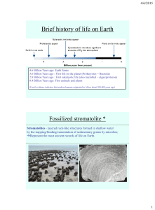 Brief history of life on Earth