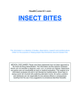 insect bites - Markus Rothkranz