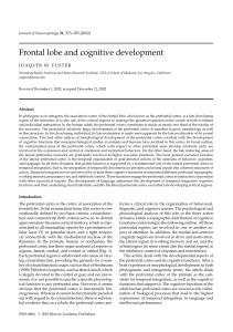 Frontal lobe and cognitive development