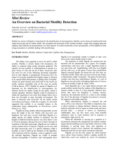 Mini Review An Overview on Bacterial Motility Detection