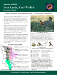 Grassland Birds Fact Sheet