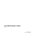Java DB Developer`s Guide
