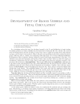 Development of Blood Vessels and Fetal Circulation