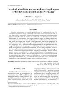 Intestinal microbiota and metabolites—Implications for broiler