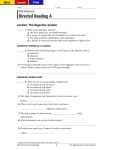 Directed Reading: Digestive System