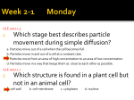 1. Which stage best describes particle movement during simple