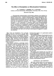 The Effect of Disulphides on Mitochondrial Oxidations