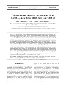 Offense versus defense: responses of three morphological types of