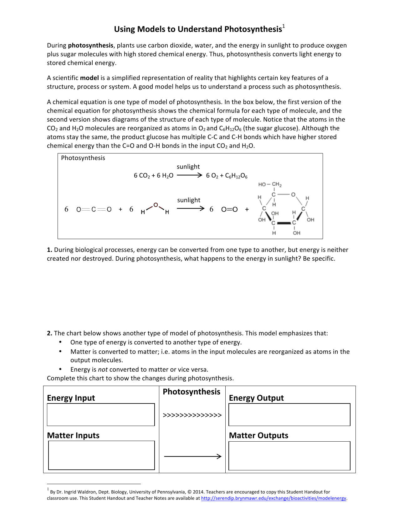 Using Models To Understand Photosynthesis