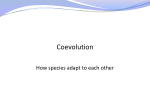 Coevolution