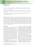 Brave New Propagules: Terrestrial Embryos in Anamniotic Eggs