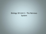 Biology 30 Unit 1: The Nervous System