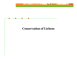 Lichen Conservation - tn