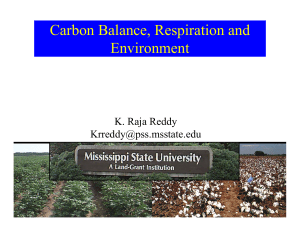 Carbon Balance, Respiration and Environment