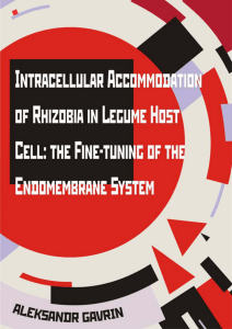 the fine-tuning of the endomembrane system