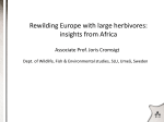 Rewilding Europe with large herbivores: insights from Africa