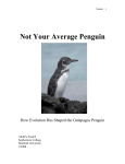 Not Your Average Penguin