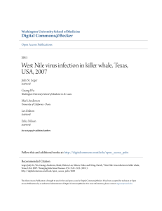 West Nile virus infection in killer whale, Texas, USA, 2007