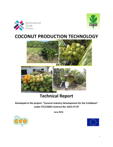 coconut production technology - About