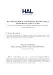 Eye safe large field of view homodyne detection using a - HAL-IOGS