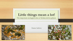 Little things mean a lot! The important ecological