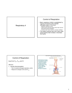 Respiratory 4 Control of Respiration Control of Respiration
