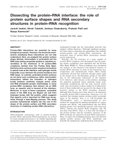 Dissecting the protein–RNA interface