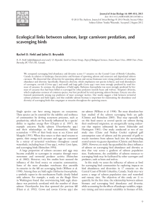 Ecological links between salmon, large carnivore predation, and