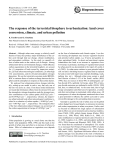 The response of the terrestrial biosphere to