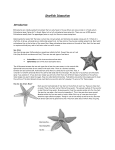 Starfish Dissection - hrsbstaff.ednet.ns.ca