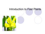 Introduction to Fast Plants