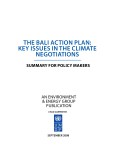 the bali action plan: key issues in the climate negotiations