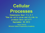 Cellular Processes