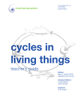 cycles in living things