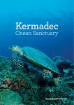 Ocean Sanctuary - Ministry for the Environment