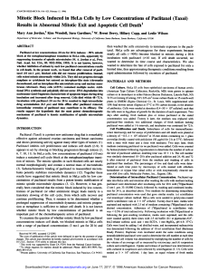 Mitotic Block Induced in HeLa Cells by Low Concentrations of