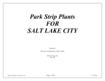 Park Strip Plants FOR SALT LAKE CITY