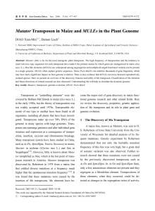 Mutator Transposon in Maize and MULEs in the Plant Genome