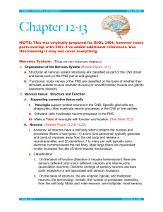Chapter 12-13 Summary
