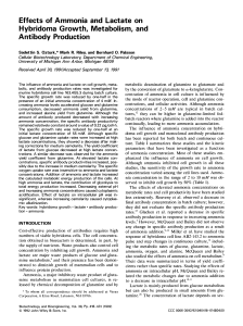 Effects of Ammonia and Lactate on Hybridoma Growth, Metabolism