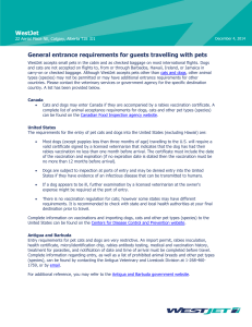 General entrance requirements for guests travelling with pets WestJet