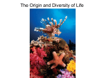 The Origin and Diversity of Life