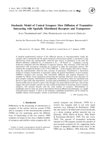 Stochastic Model of Central Synapses: Slow Diffusion of Transmitter