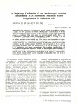 A Single-step Purification of the Saccharomyces cerevlslae