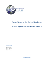 Ocean Waste in the Gulf of Honduras: Where it goes and what to do