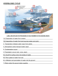 Biogeochemical Cycles