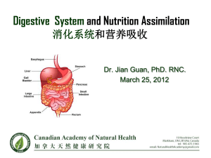 Digestive System and Nutrition Assimilation