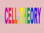 Chapter 5 -The Cell Development of the Cell Theory The individual