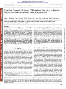 Essential Opposite Roles of ERK and Akt Signaling in Cardiac